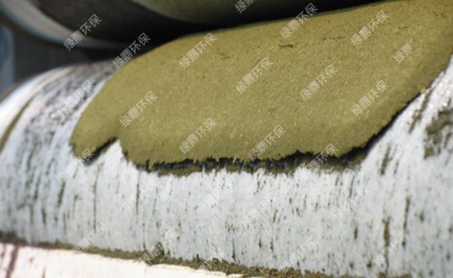 蔬菜渣脫水（湖北） 2